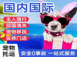运城空运国际宠物托运 【国